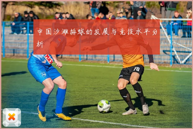 中国沙滩排球的发展与竞技水平分析
